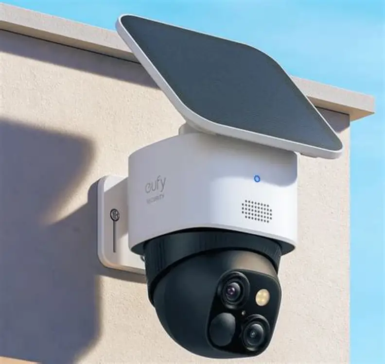 Remote video monitoring